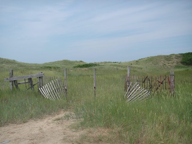 Lt. Island, Wellfleet, July 2006